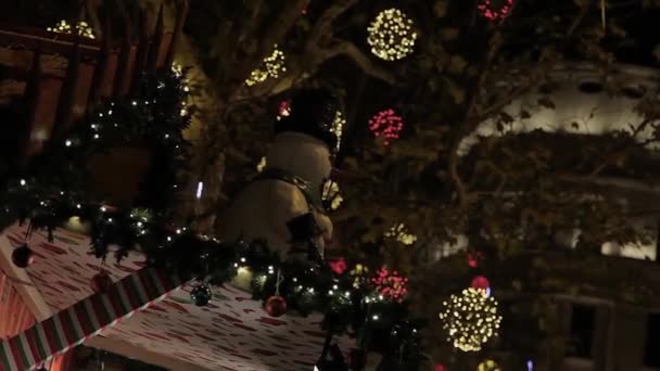ヨーロッパのクリスマス、ブダペスト — ストック動画