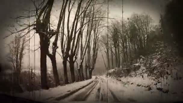 Camino de invierno República Checa . — Vídeos de Stock