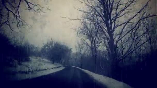Зимняя дорога Чехия . — стоковое видео