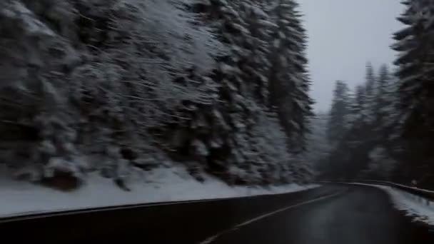 Droga zimą w Czechach. — Wideo stockowe