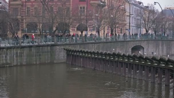 Folyó töltésén Prága — Stock videók