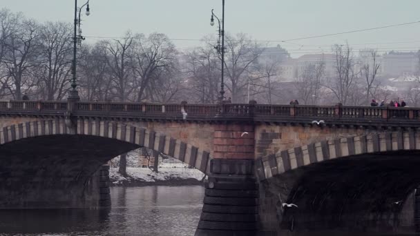 河流上的桥梁. — 图库视频影像