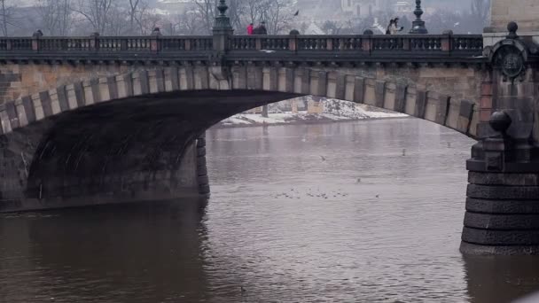 Broarna på floderna. — Stockvideo