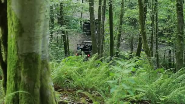 Különleges erők Combat training — Stock videók