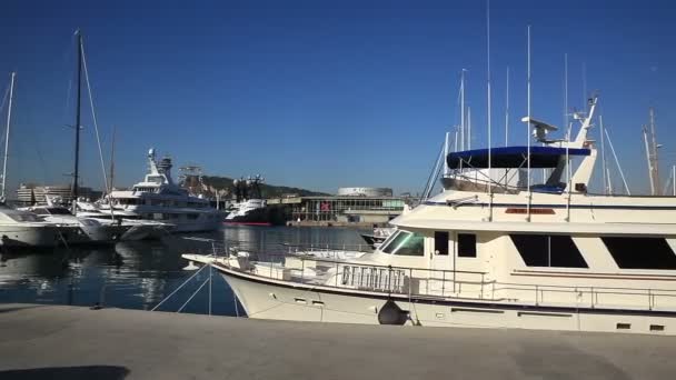 Kajen i hamnen, yachts — Stockvideo