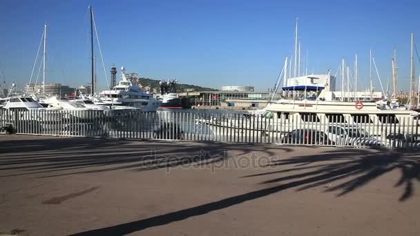在港口，游艇码头 — 图库视频影像
