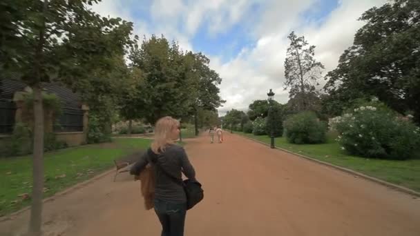 Zomer stadspark. Natuur. — Stockvideo