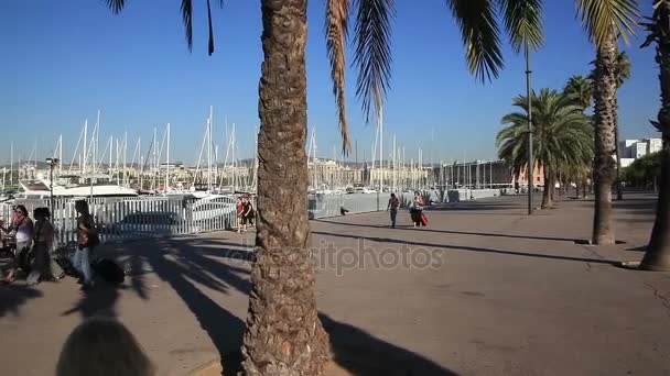 Um cais no porto, iates. — Vídeo de Stock