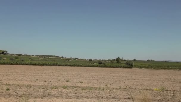 Farm vingård. Upplöjd gård fältet. — Stockvideo