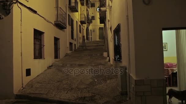 Castillo de Peniscola — Vídeo de stock