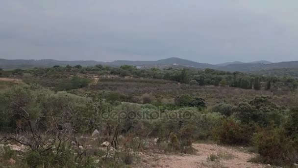 Vista de los campos y las granjas — Vídeos de Stock