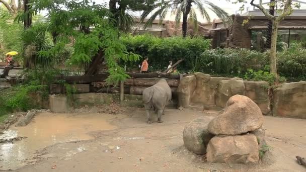 バルセロナ動物園夏 — ストック動画
