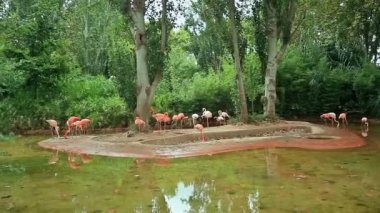 Barcelona Hayvanat Bahçesi yaz