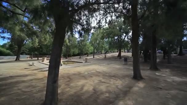 Parque de la ciudad de verano Palau Nacional — Vídeo de stock