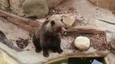 Barcelona Hayvanat Bahçesi yaz