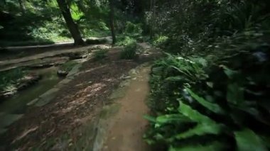 Yaz Şehir Parkı. Doğa.