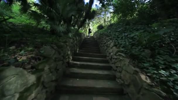 Zomer stadspark. Natuur. — Stockvideo