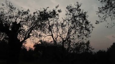 Yaz gün batımı İtalya