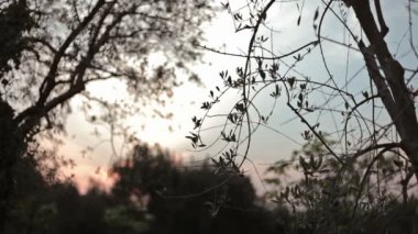 Yaz gün batımı İtalya