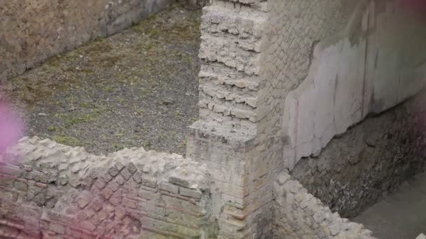 Ruinele Herculaneum, Italia — Videoclip de stoc