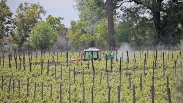 Трактор в винограднике — стоковое видео