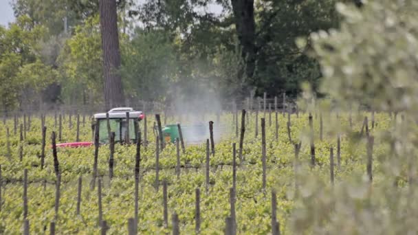 Tractor en el viñedo — Vídeo de stock