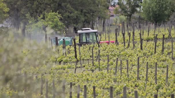 Tractor in the vineyard — Stock Video