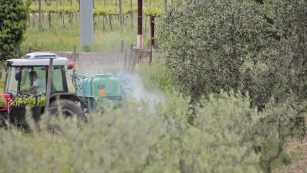 Traktor i vingården — Stockvideo