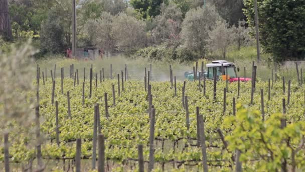 Tractor in the vineyard — Stock Video