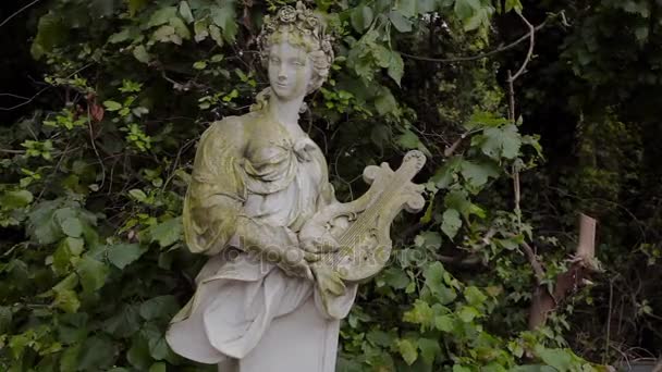 Beelden en sculpturen, gelegen in het park Della Reggia di Caserta — Stockvideo