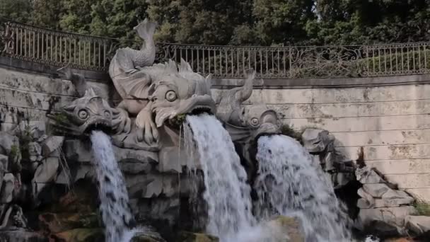 Della Reggia di Caserta. Fuente de Margarita . — Vídeos de Stock