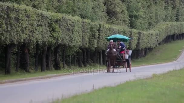 Parco Della Reggia di Caserta — Stock video