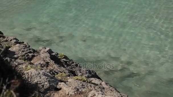 Lidé koupat a odpočinku na pláži. Španělské pláže v Cala Mendia –. Mallorca — Stock video