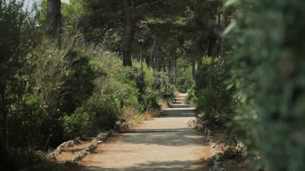 Gränd i solen. Spanska stränderna i Cala Mendia. Mallorca — Stockvideo