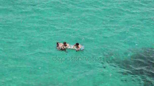 사람들이 목욕 하 고 해변에서 휴식. 칼라 Mendia에서 스페인 바닷가입니다. 마요르카 — 비디오