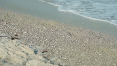 Mallorca'da İspanyolca plajlar. Deniz sörf, dalgalar ve güneş ışığı parlama.