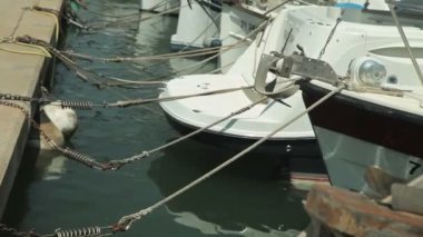 Yat plaj alanı yanında demir attı. İspanyolca otopark taşra kasabasında Porto Cristo yatlar için. Mallorca