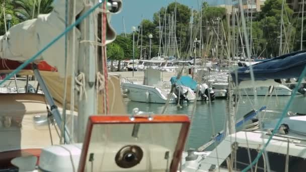 Яхти стоїть на якорі біля пляжна зона. Іспанська парковка для яхт у провінційному містечку Порто Крісто. Майорка — стокове відео