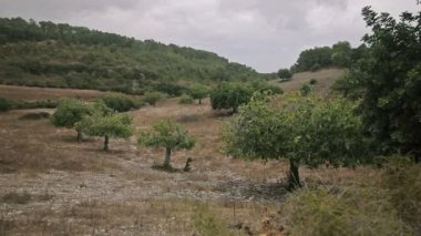 Cala Mendia banliyölerinde çiftlikleri