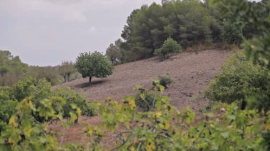 Cala Mendia banliyölerinde çiftlikleri