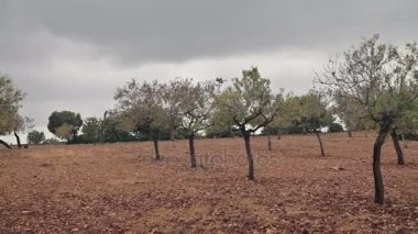 Cala Mendia banliyölerinde çiftlikleri