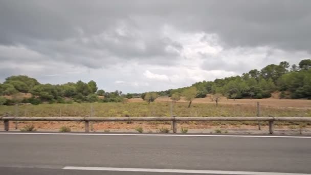 कैला मेंडिया के उपनगरों में खेतों, खेतों और उद्यानों के बीच ग्रामीण सड़कों . — स्टॉक वीडियो