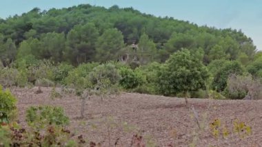 Cala Mendia banliyölerinde çiftlikleri