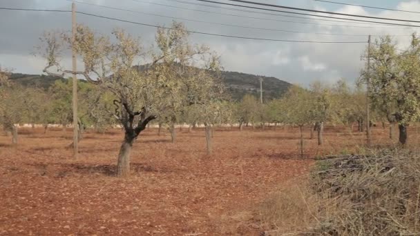 Ферм на околиці міста Кала Mendia — стокове відео