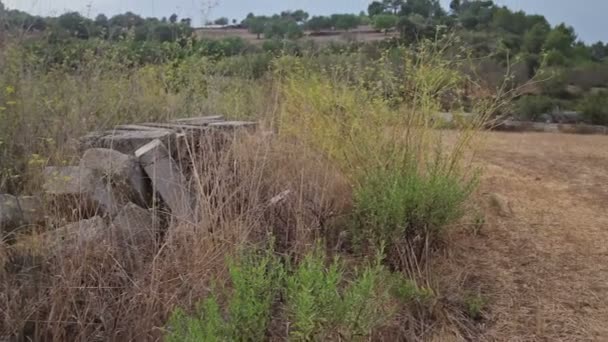 Fermes dans la banlieue de Cala Mendia 
