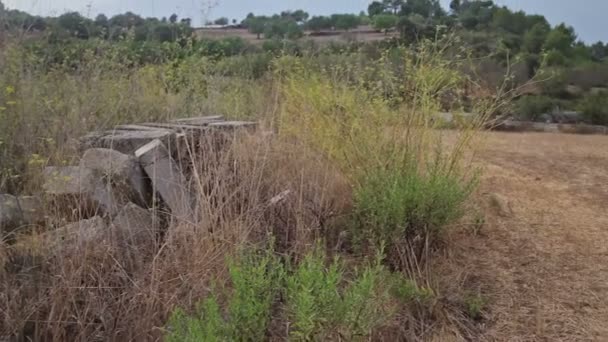 Gårdar i förorterna i Cala Mendia — Stockvideo