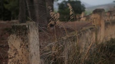 Çiftlik bölgesi boyunca taş bir çit.