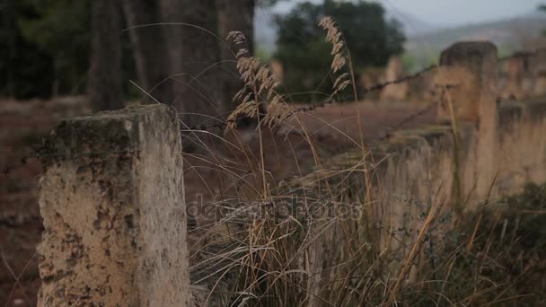 Ένα πέτρινο φράχτη κατά μήκος του εδάφους αγρόκτημα. — Αρχείο Βίντεο