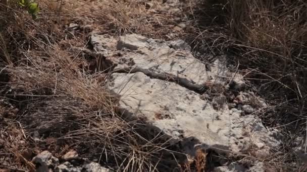 The stony hillside on the coast of the Cala Mendia. Mallorca — Stock Video