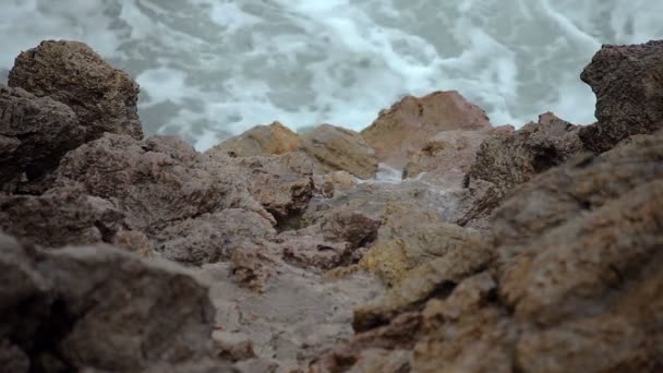 La mer surfe dans la baie par une journée nuageuse. Une petite tempête. Polenca et Port — Video